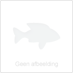 Jeugdviswedstrijd 16 augustus 2025: leeftijd aangepast !!!!!