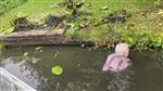 Waterlelies op een heel conventionele manier verwijderd.